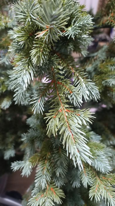 Искусственная елка 1.8 премиум класса