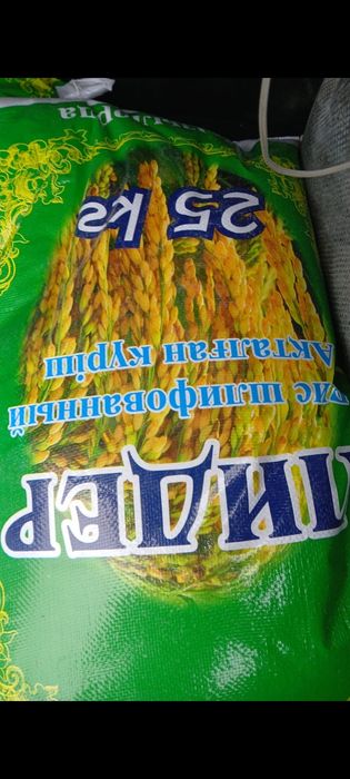 күріш Рис куриштер