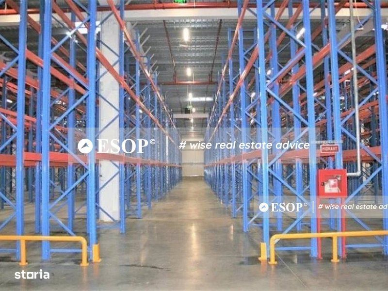 Logicor Mogosoaia, hale pentru depozitare, productie, 2.000 - 23.000mp