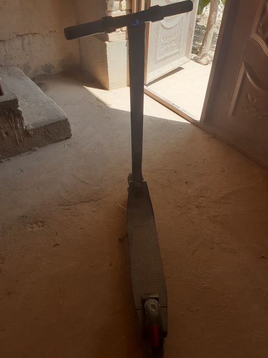 Ninebox elektron samakat fonar bluts bor