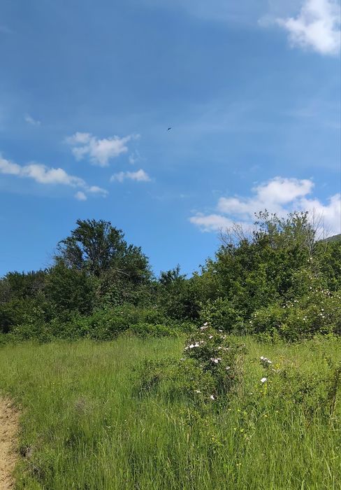 Продава се Парцел в с. Овчарци, Област Кюстендил - 950 кв.м за 28 €/кв.м - Снимка #2