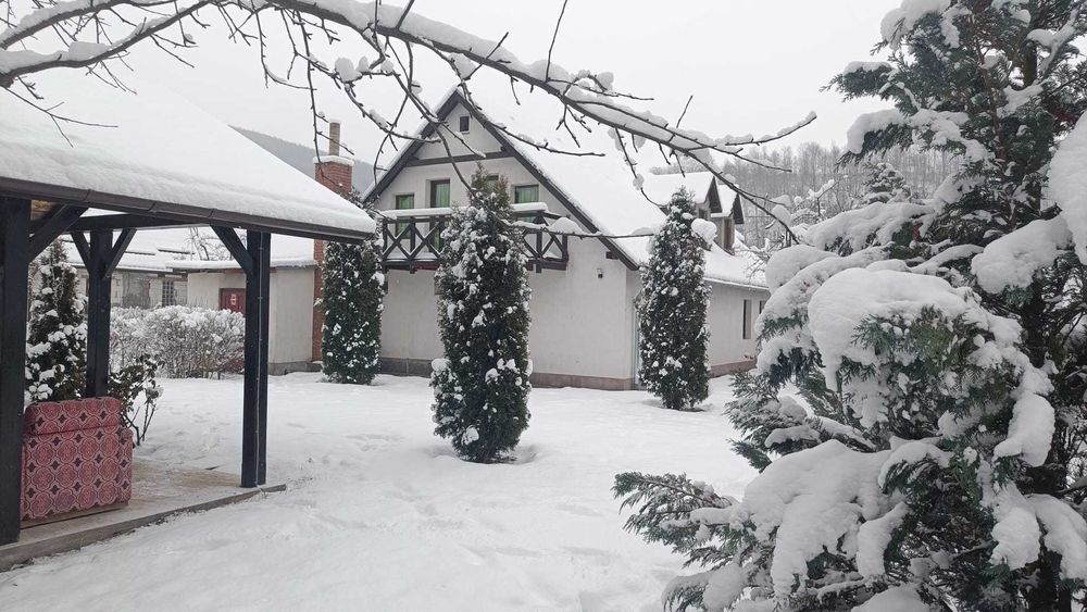 Cabana cu ciubar la Vl Draganului