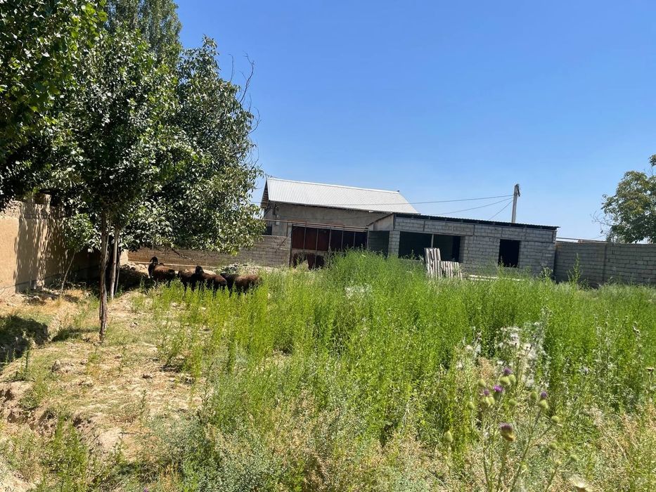 Nazarbek  Turkuston 6 sotix yer sotiladi