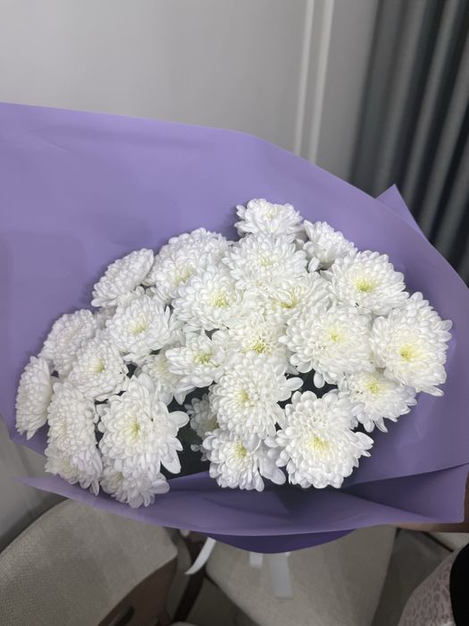 Продам цветы срочно