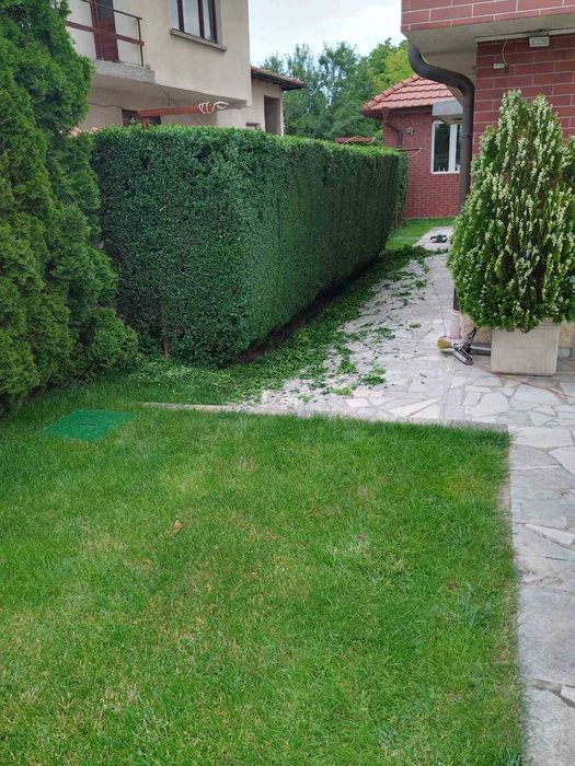 Озеленяване,косене,подрязване и подръжка на дворове!