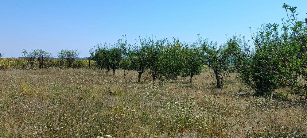 Продава се Парцел в Велико Търново, Картала - 2696 кв.м за 7 €/кв.м - Снимка #5