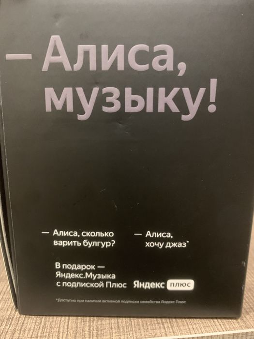 Станция Мини Яндекс с Алисой.
