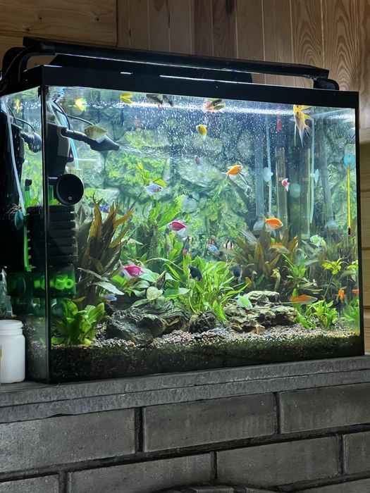 Vand acvariu 80 L complet