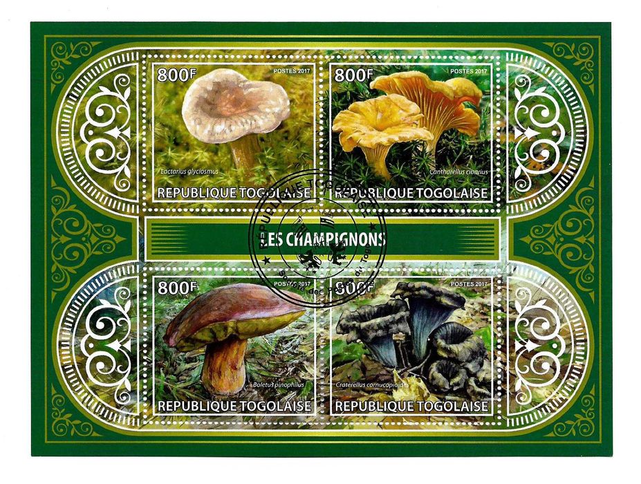 Super set de invatare a filateliei set colite tema ciuperci de padure ghebe manatarci bureti 25 lei colita 200 lei setul