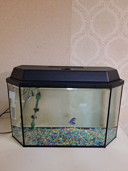 Аквариум 50 литров