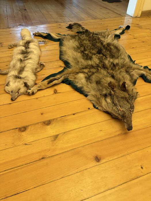 Кожа от Вълк и шал , яка от лисица