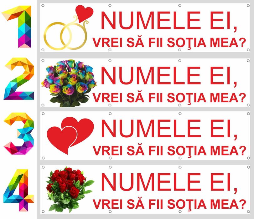 Cerere in casatorie INEDITA cu un banner "VREI SA FII SOTIA MEA?"