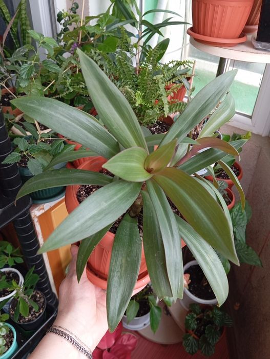 Каждый по 2500 тенге