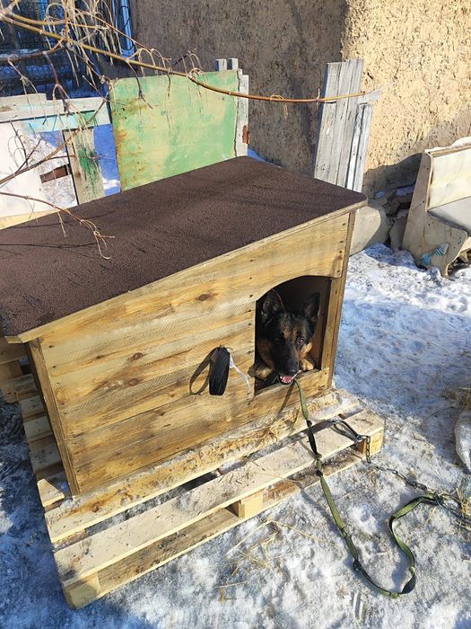 Будки для собак OTZUBA теплые