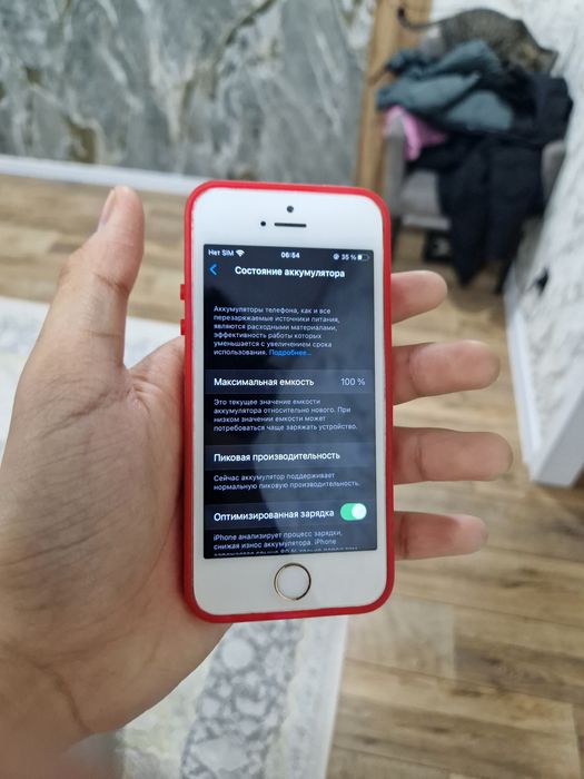 iPhone SE 2016 64 GB / 100%