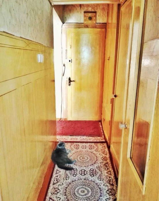 Чилонзор 24 кв 2/5/5 средни ремонт разденли 45 кв метир кафе гиждивон