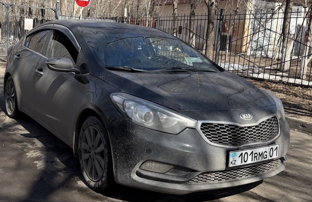 Продаю вислауху