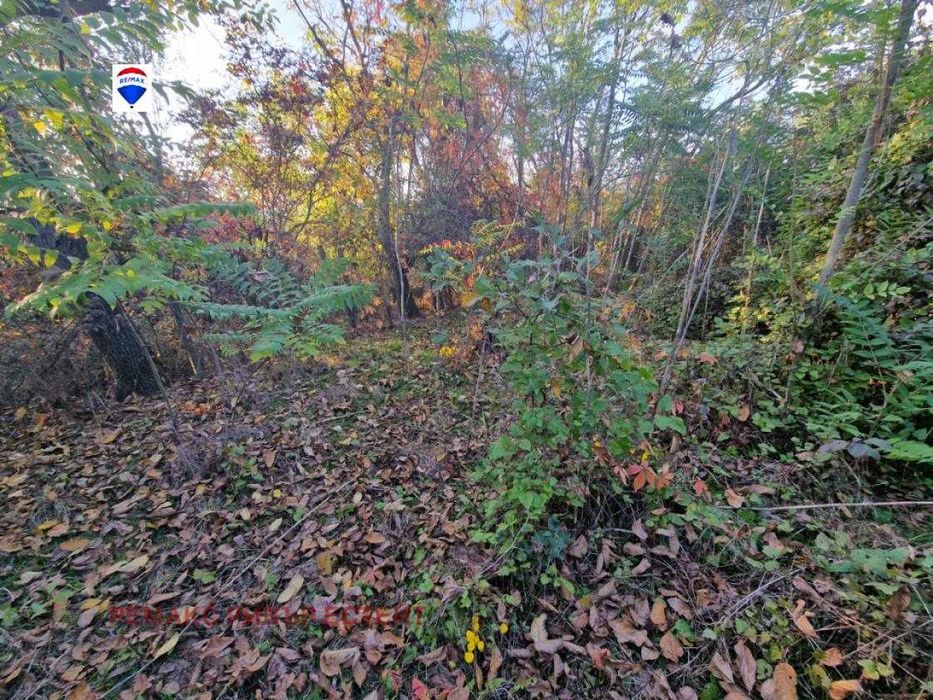 Продава се Къща в с. Писанец, Област Русе - 30 кв.м за 220 €/кв.м - Снимка #3