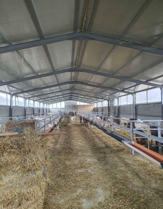 Vand hale metalice din teava sau profile