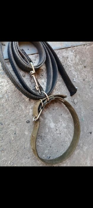 Продам ошейник с поводком