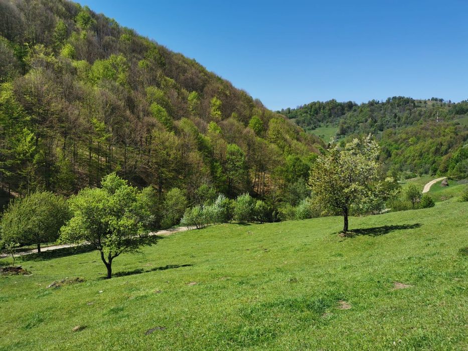 Teren - Peștera Tãușoare