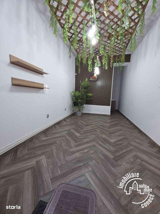 Spatiu Comercial,