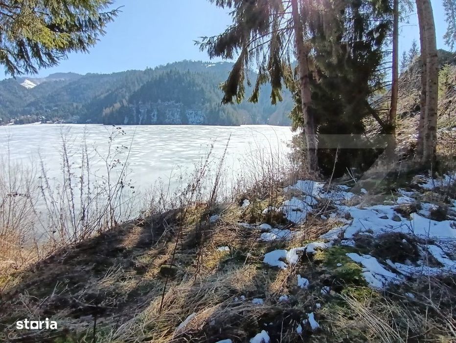 Teren intravilan de vanzare – 3100 mp Colibita, front lac 70