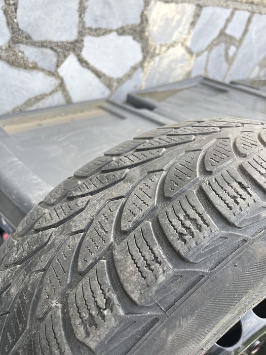 Barum polaris 3 195 65 15 91H