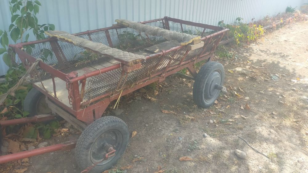 Продам ишачку с бричкой