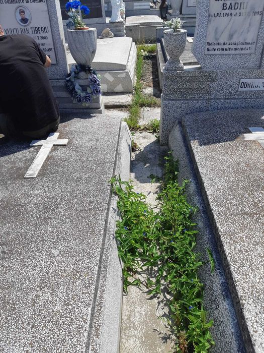 Vand loc de veci dublu in cimitirul central Sibiu