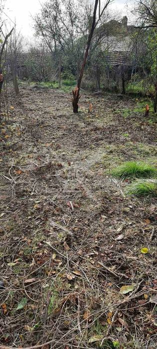 Продава се Парцел в с. Сърнево, Област Бургас - 1520 кв.м за 5 €/кв.м - Снимка #2