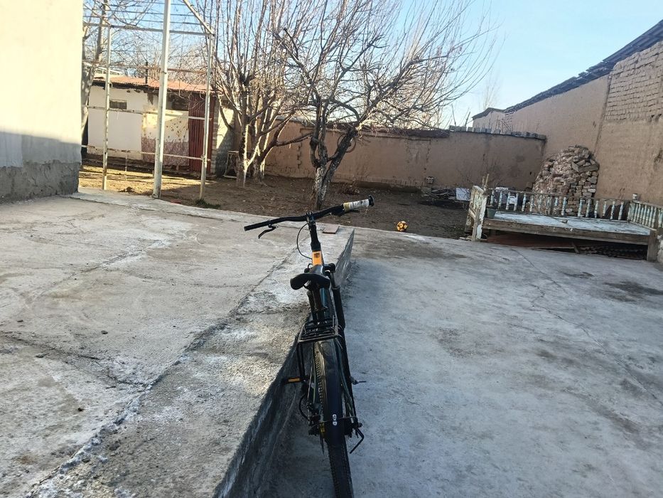 Velisaped sotiladi holati yaxshi