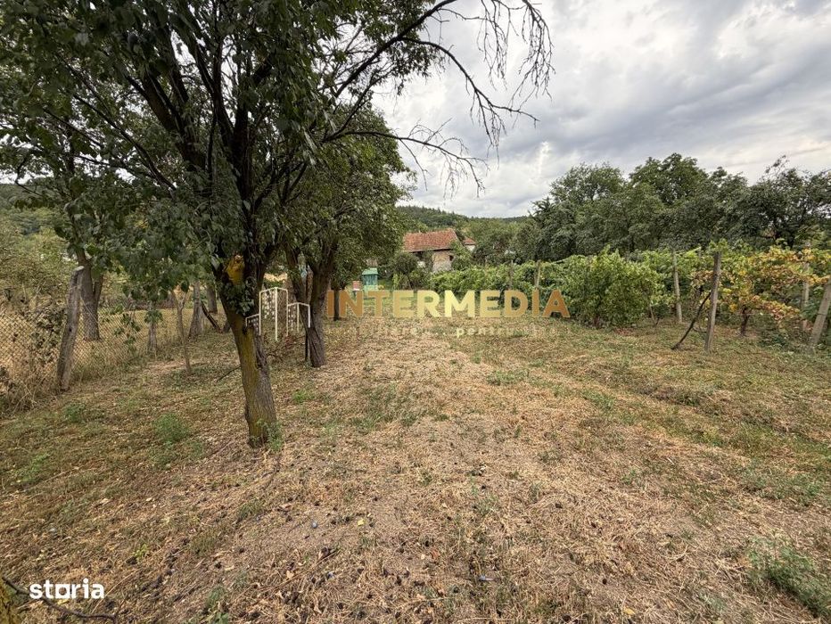 Casa Renovabila 3 camere Baie Bucatarie CRICAU 1375 mp Teren Toate Uti