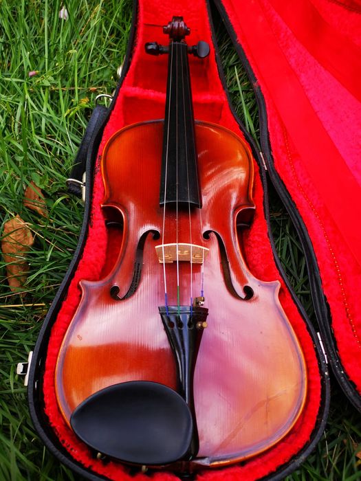 Vioara Germana Heinrich (Harry) Müller  Dark varnish.