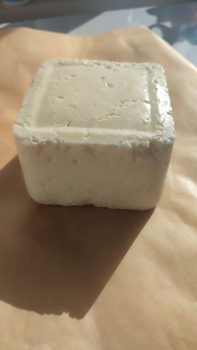 Продам сыр из козьего молока