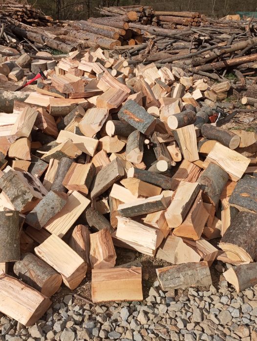 Lemne de foc crapate