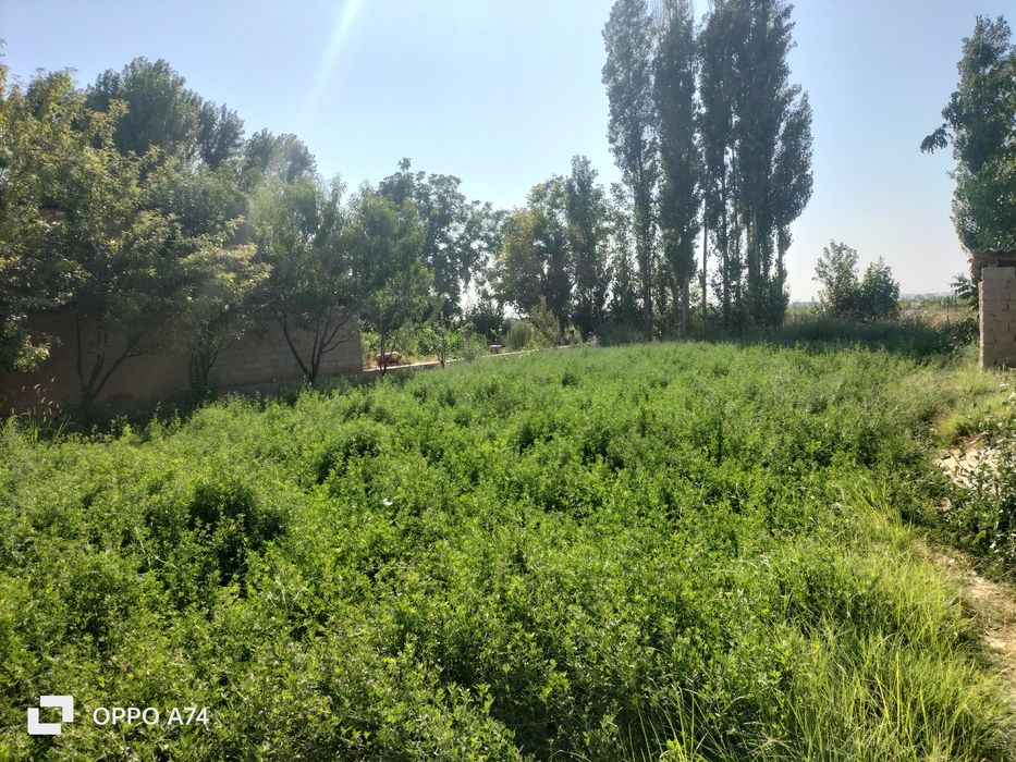 Yer sotiladi 4 sotix