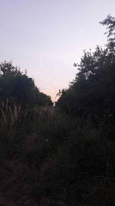 Teren de vânzare Smeura