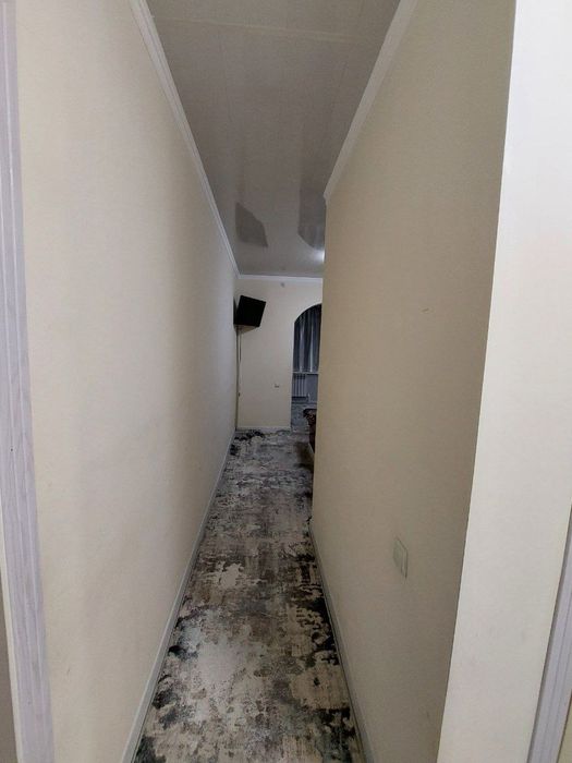 Mirzo Ulugʻbek Eco bazar