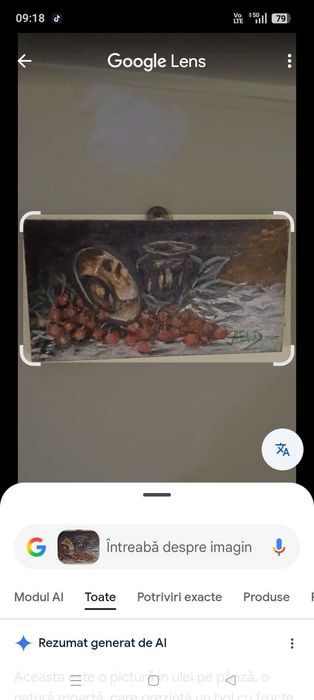 Tablou pictat manual