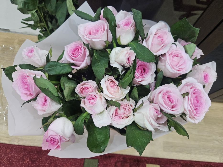 Продам розы 25 шт