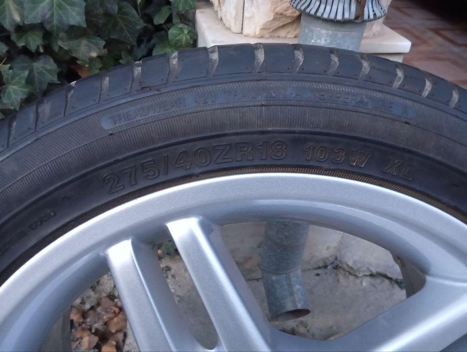 Arginal diska  baloniblan