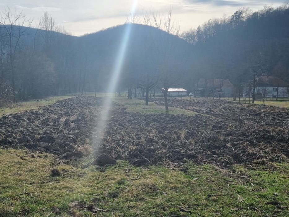 Teren cu casa si șură bătrânescă.  3700m² de Teren,