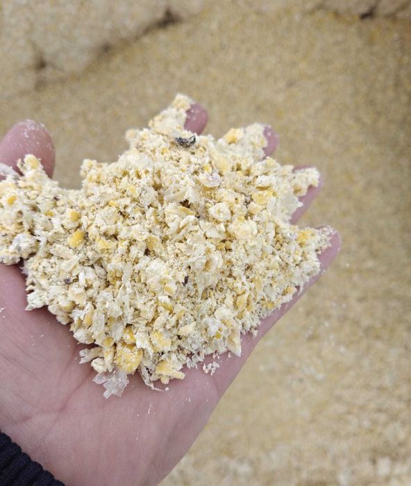 Vand porumb crimping