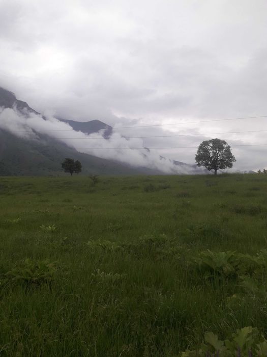 Дом. ер. учаска.