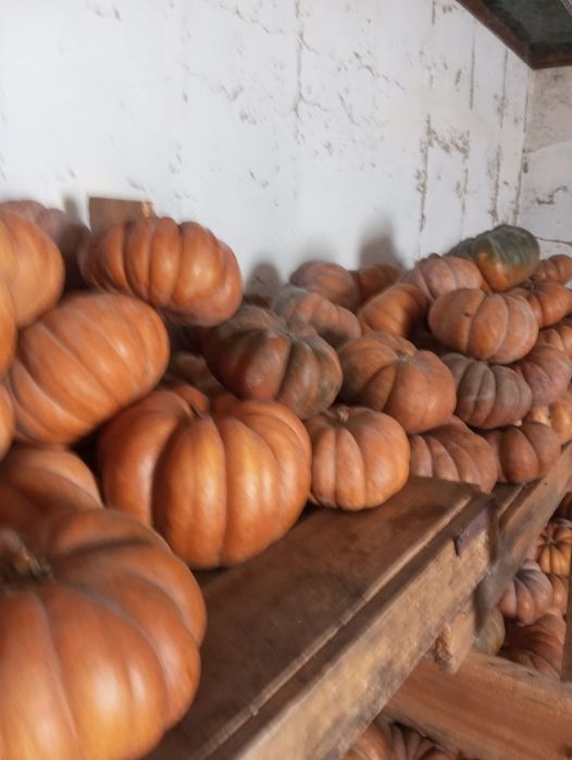 1)-Умный печка 2) Тыква