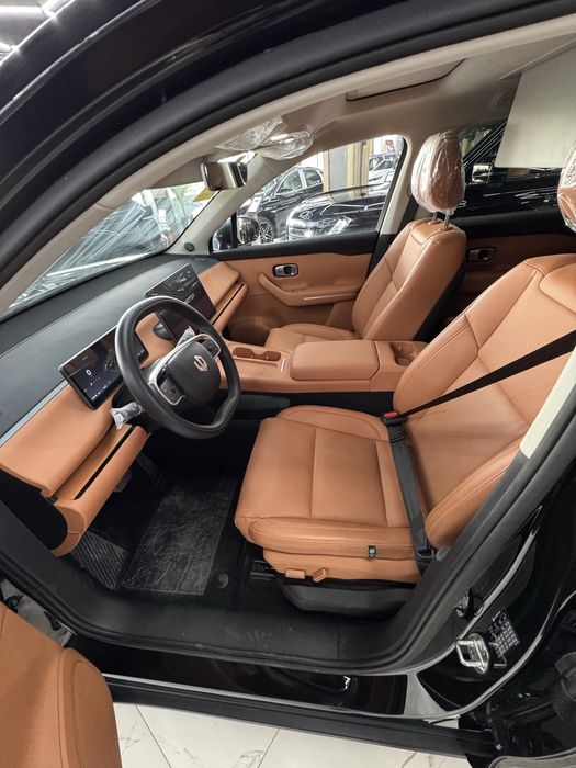 LEAPMOTOR C16 gibrid+dop opsiya