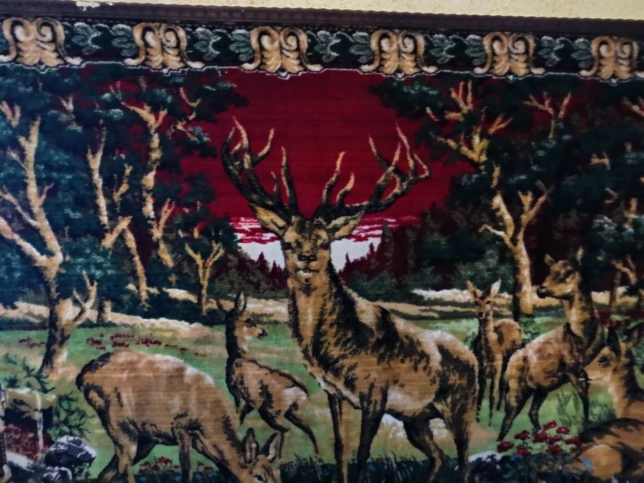 Carpete in stare foarte buna