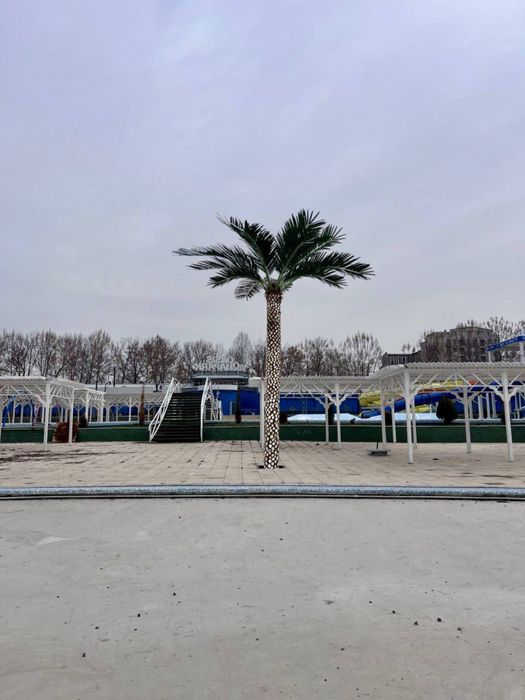 Dekorariv suniy palmalar Декоративные искусственные пальмы