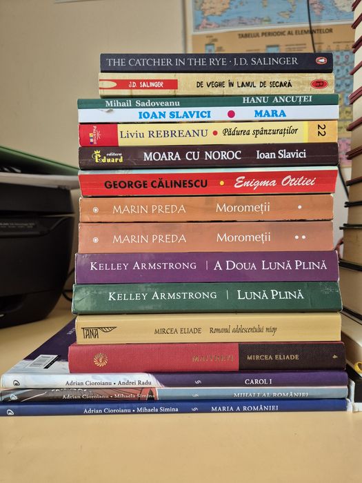 Carti pentru Bacalaureat/Evaluare Nationala, fictiune, istorie, litera